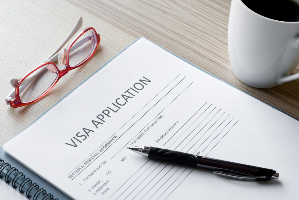 Visa applications include awards and publications